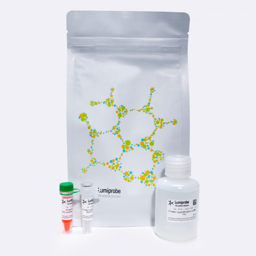 ProteOrange Protein Quantification Kit, 14102