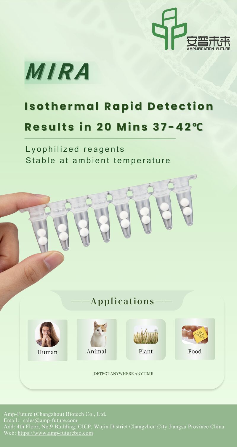 MIRAmp DNA NFO Kit(Enzyme ball & Buffer ball), 48T
