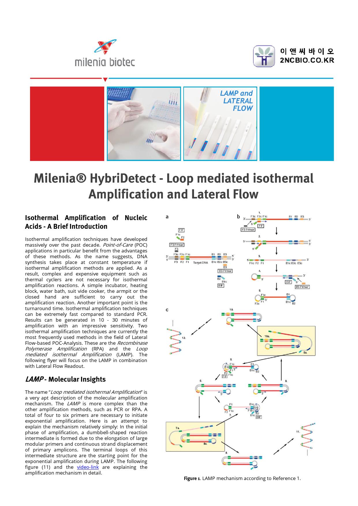 Milenia Hybridetect Lamp And Lateral Flow Assay 이앤씨바이오 2531