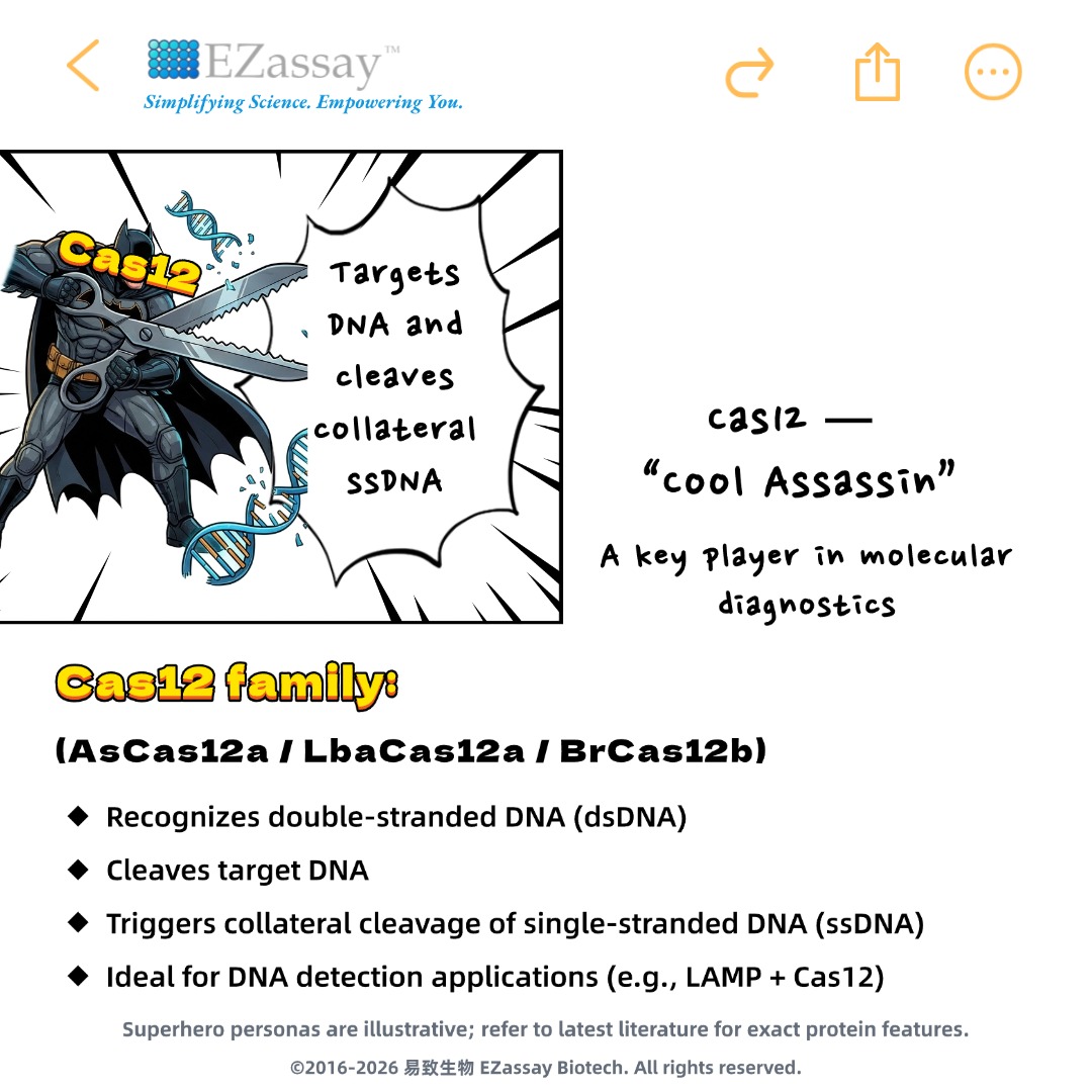 c2402d7ce9054.jpg