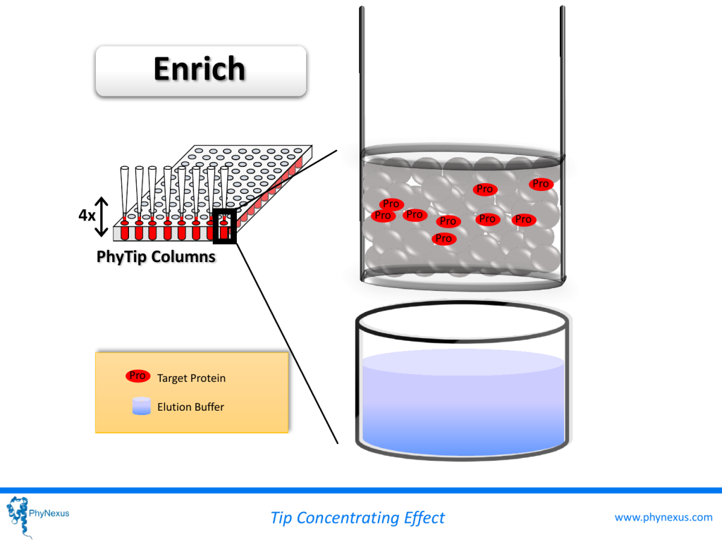 DEMO : Automated, High Throughput Sample Purification Using PhyTip ...