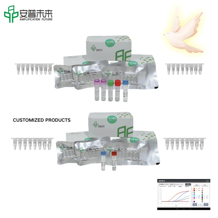 MIRA Columbid Herpes Virus 1 Fluorescence Detection Kit
