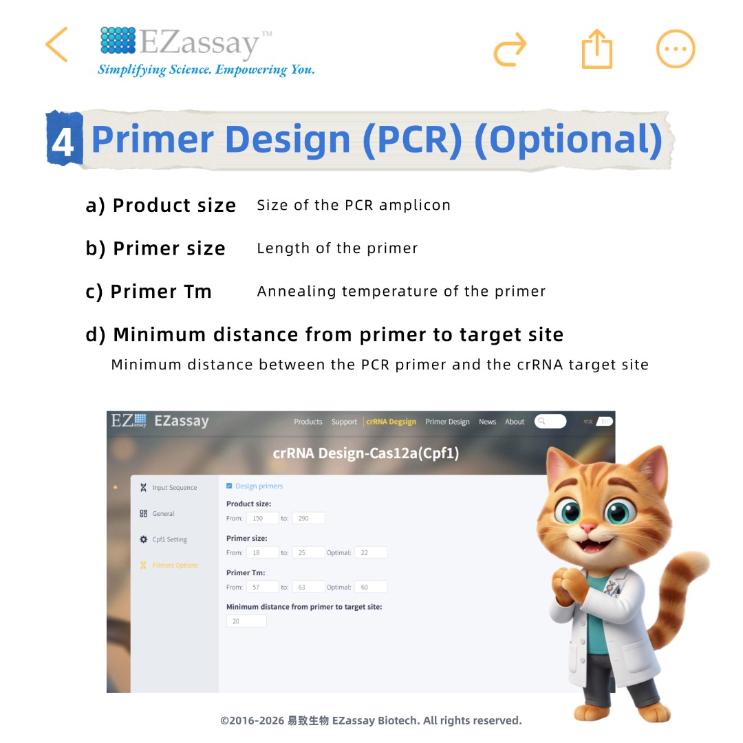 d97535ed7ccab.jpg