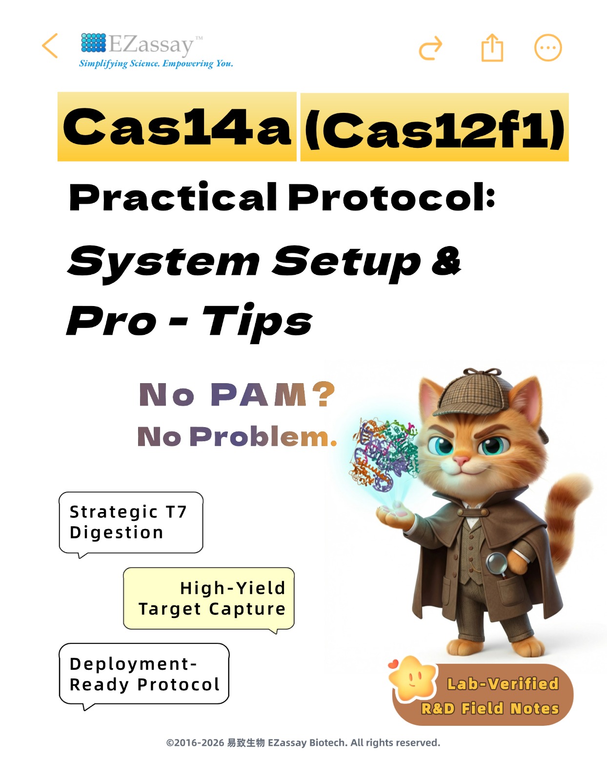 f4181b6d9012c.jpg
