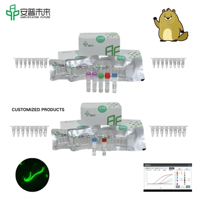 MIRA Yersinia Pestis Caf1 Gene Fluorescence Detection Kit Research Use Only