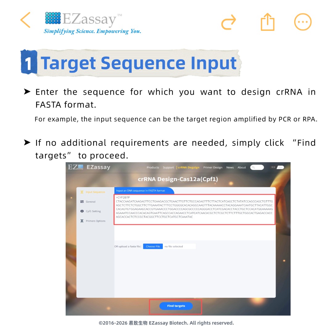 f72e7691a6eff.jpg