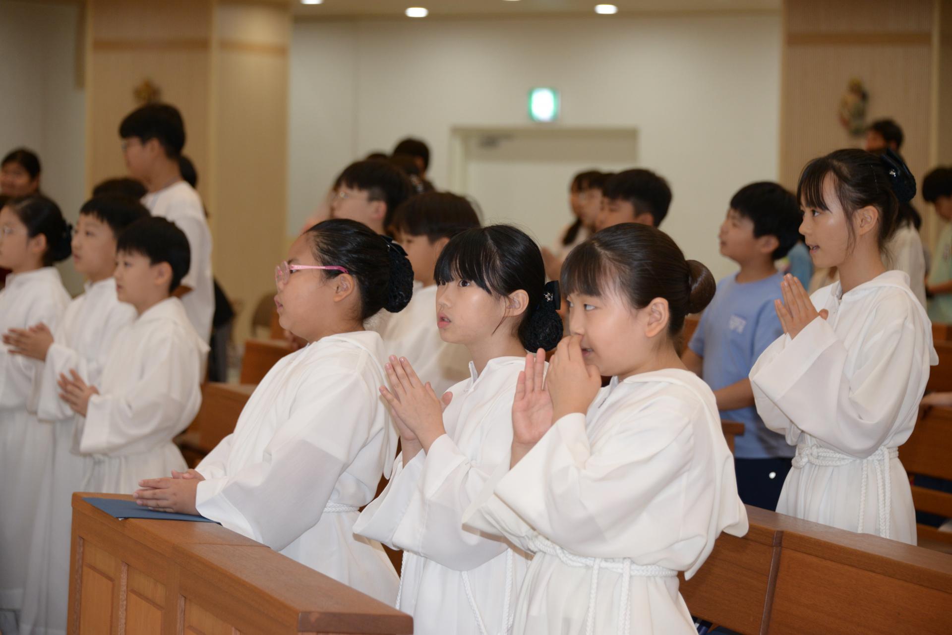 5ff9a923ff5e0.jpg