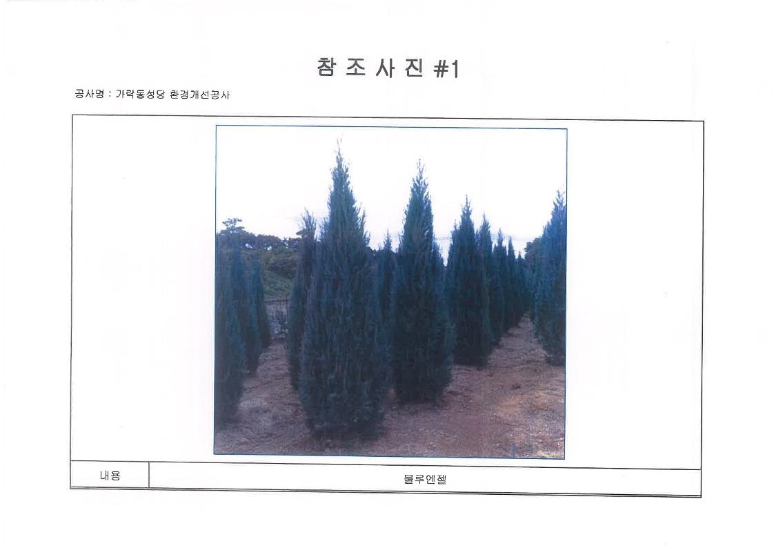 906a05cecaf29.jpg