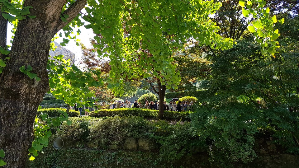d3552e8c016fa.jpg