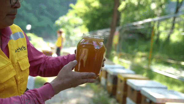 4012d8ff616a8.gif