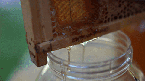 7e2741270ce9a.gif