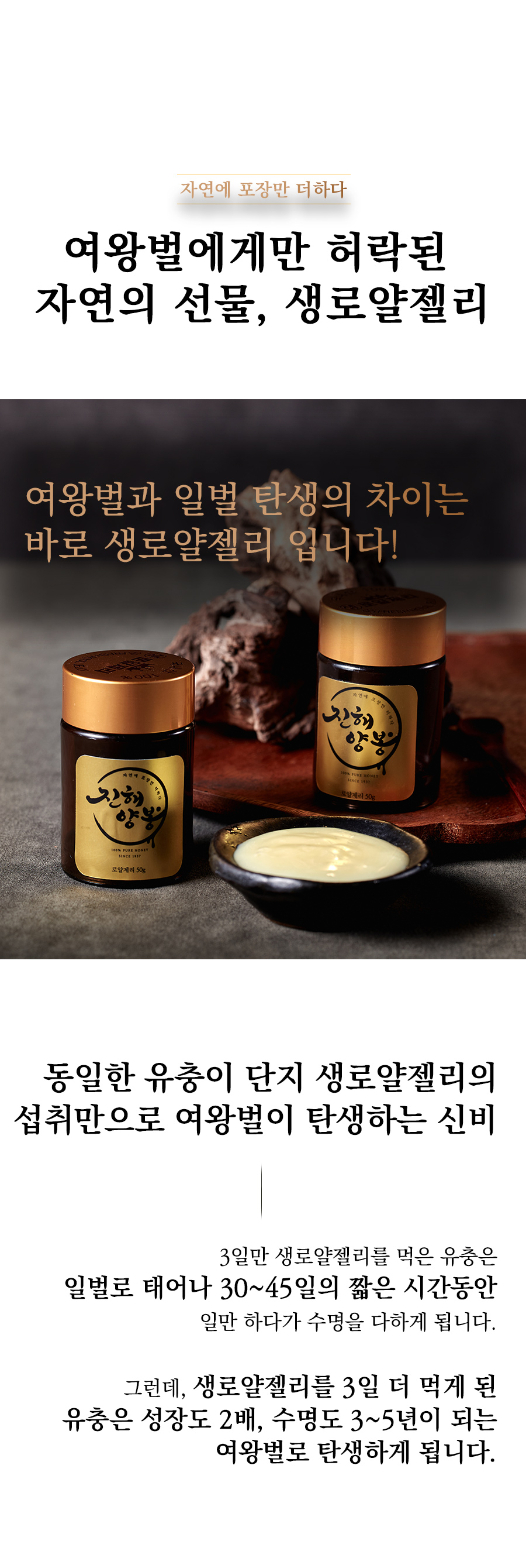 [2026년 햇로얄젤리] 진해양봉 생로얄젤리 50g