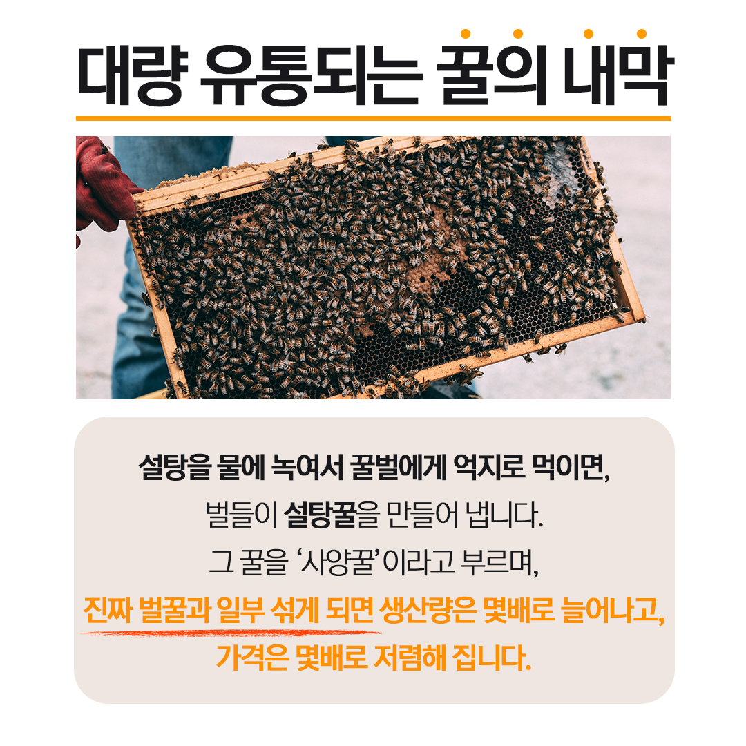 84ced881ce440.jpg