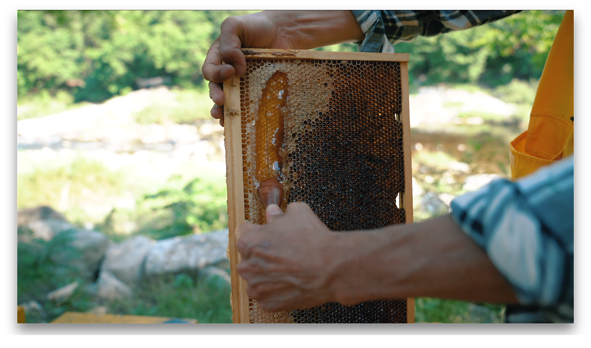 8bee84dffc876.png