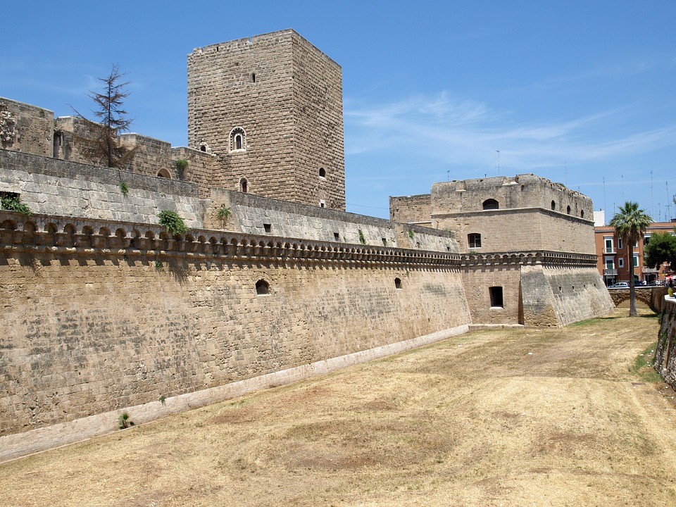 86ca35f3917d2.jpg