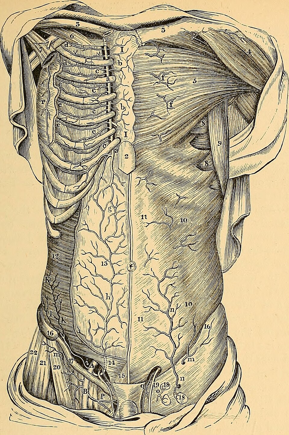 933473276b25a.jpg