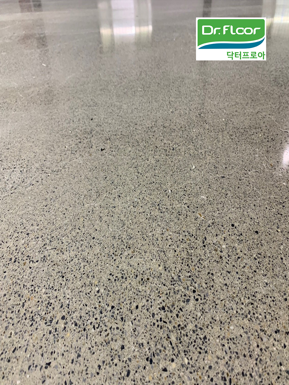 b38a685181a9e.jpg