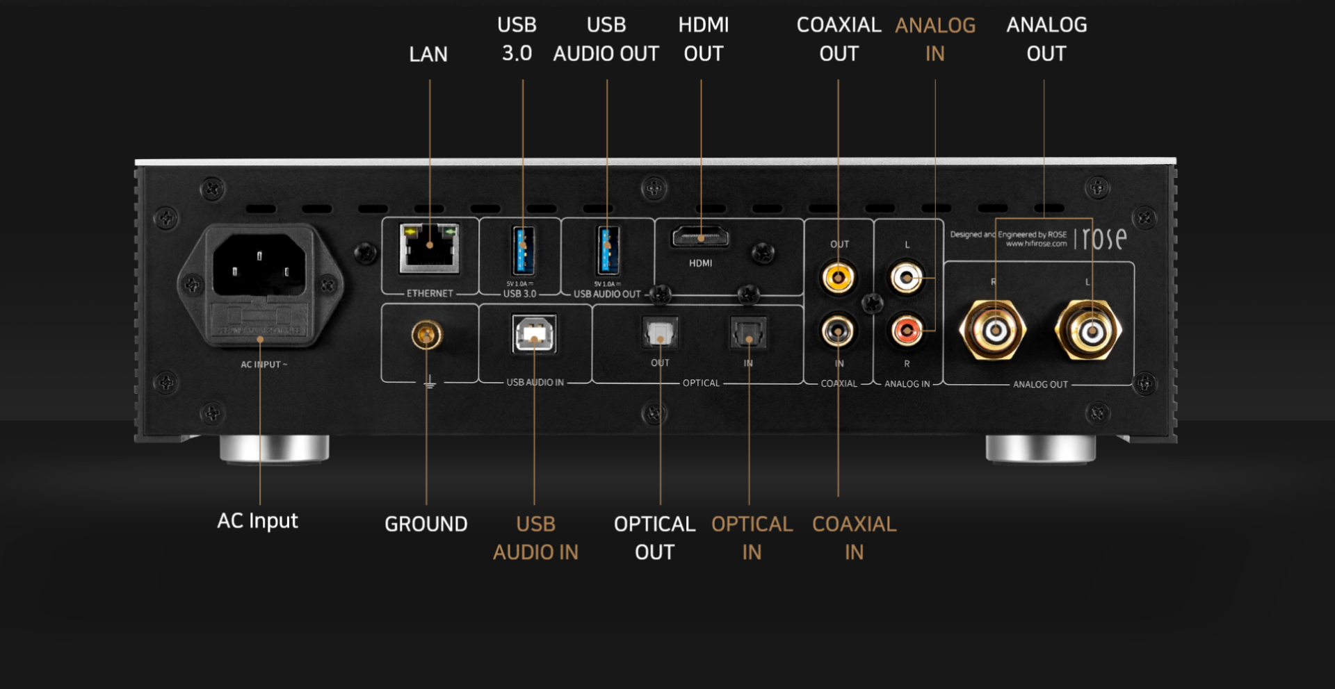 HIFI ROSE RS250