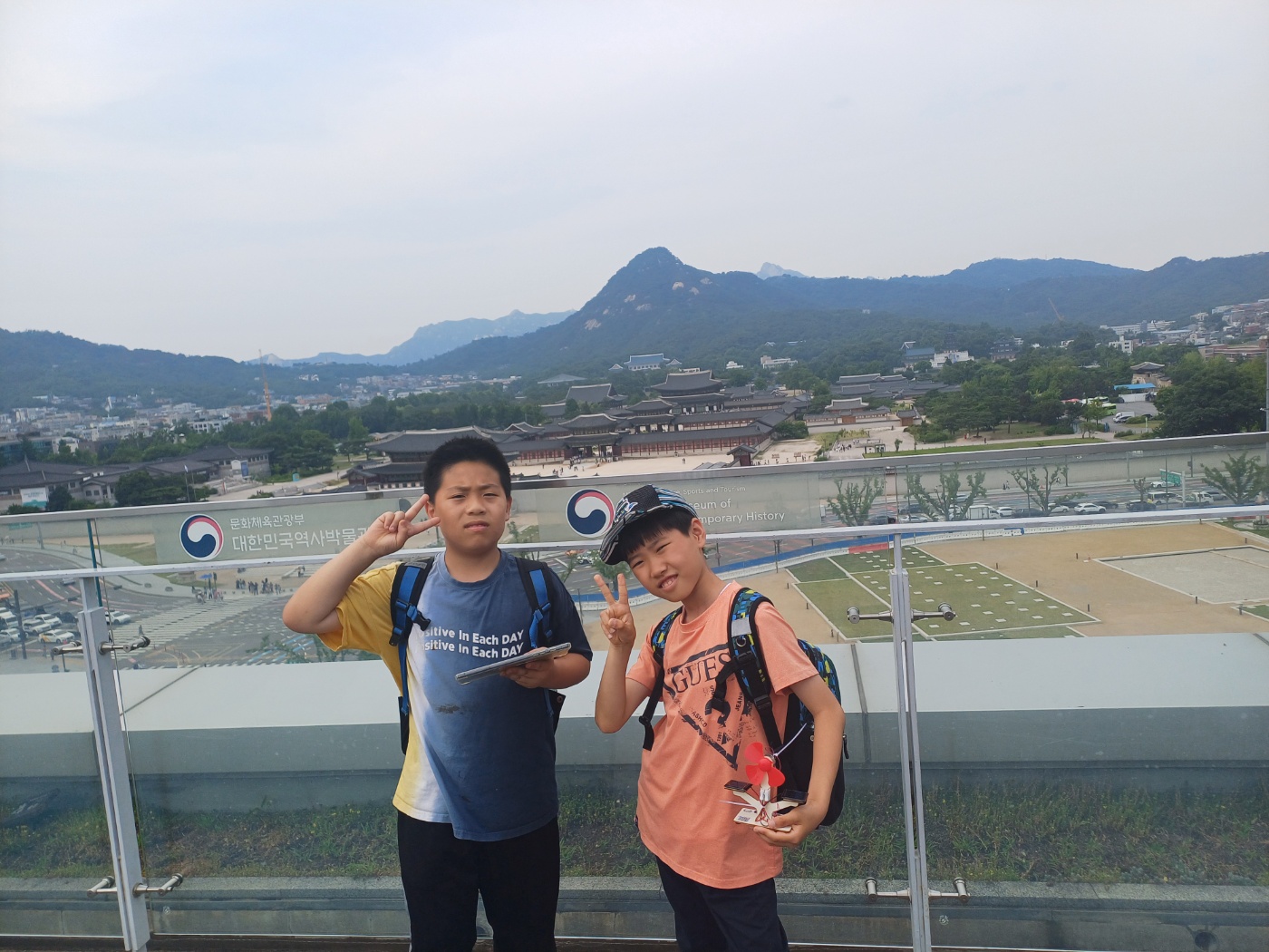 4931c3338b4a5.jpg