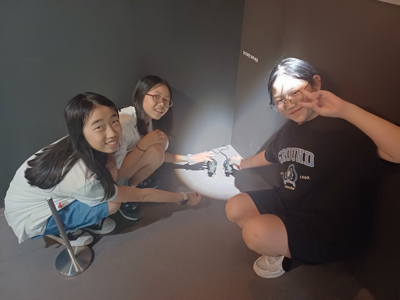 e8d0421d69846.jpg
