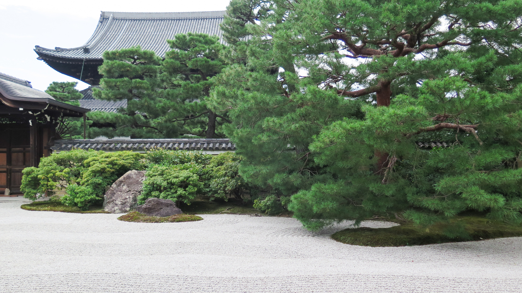 13745dea7237d.jpg