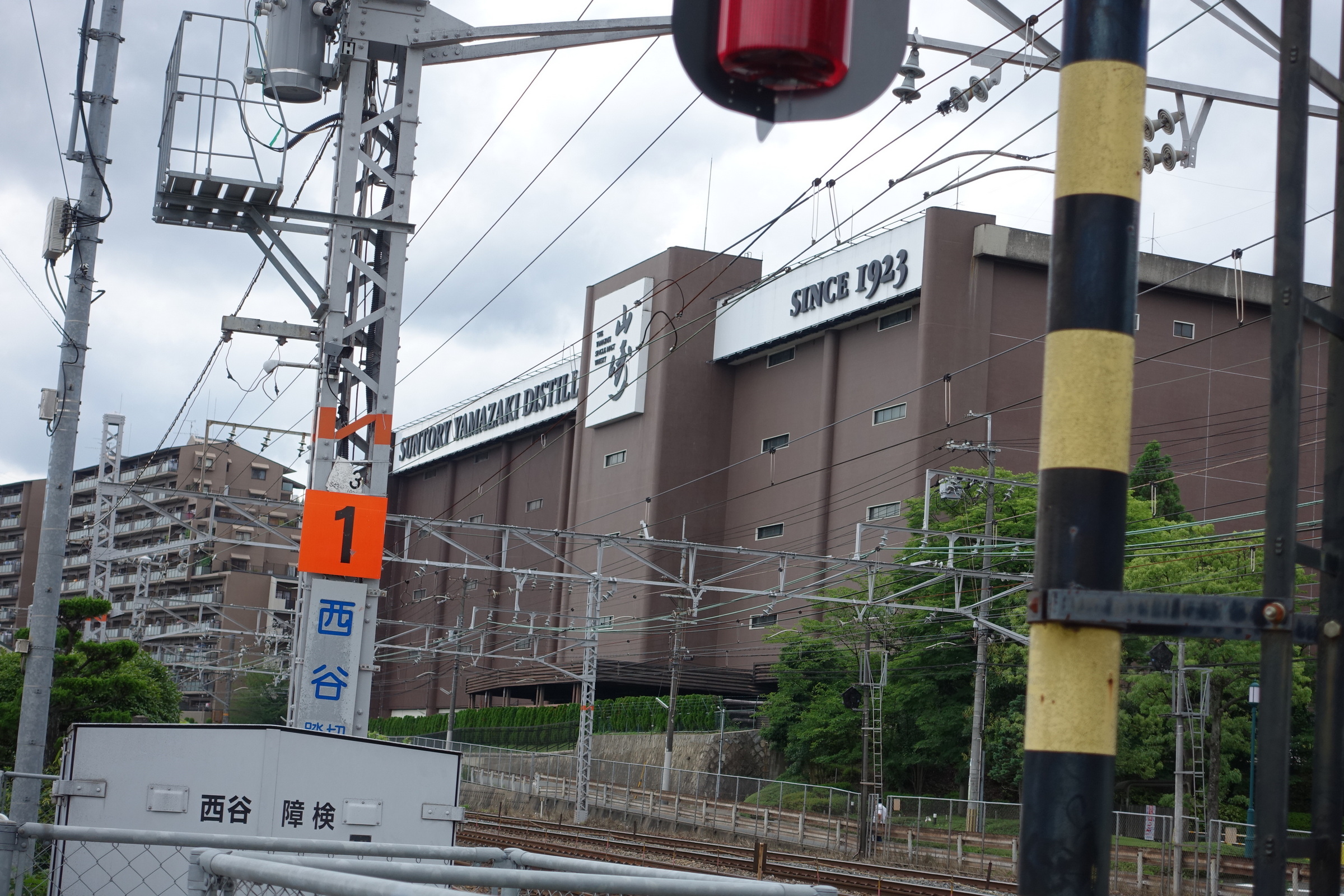1f95655d5622d.jpg