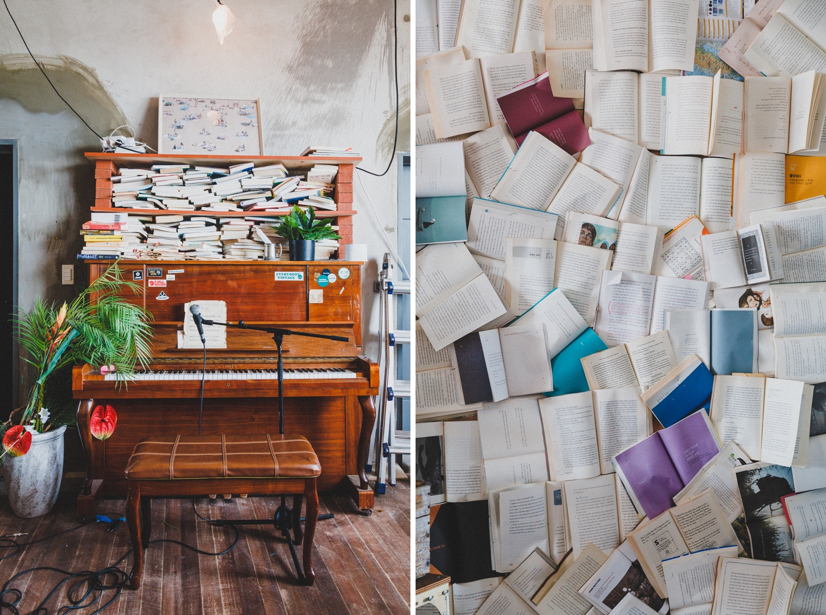 2227097e206fd.jpg