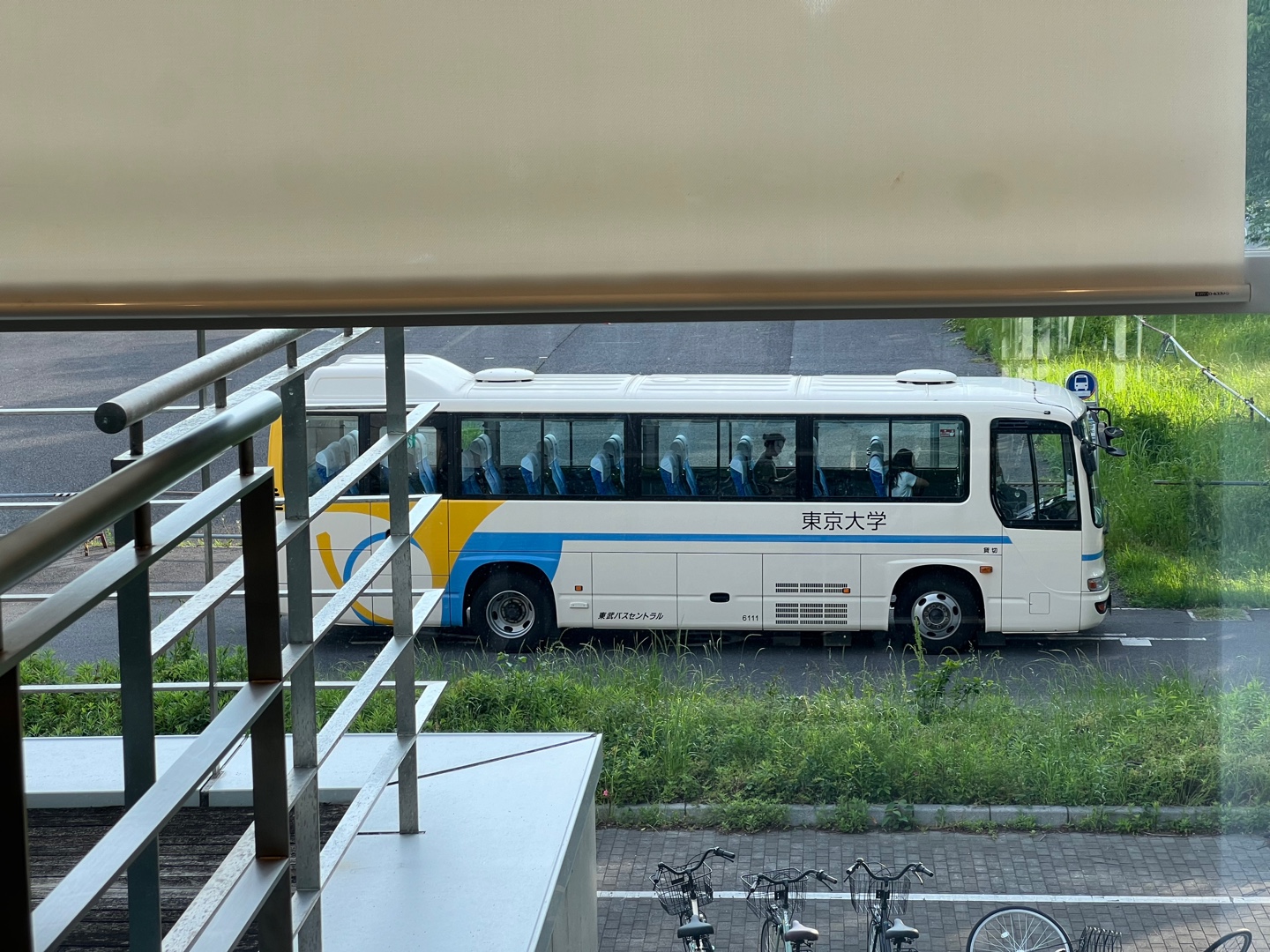 2e024b1237065.jpg