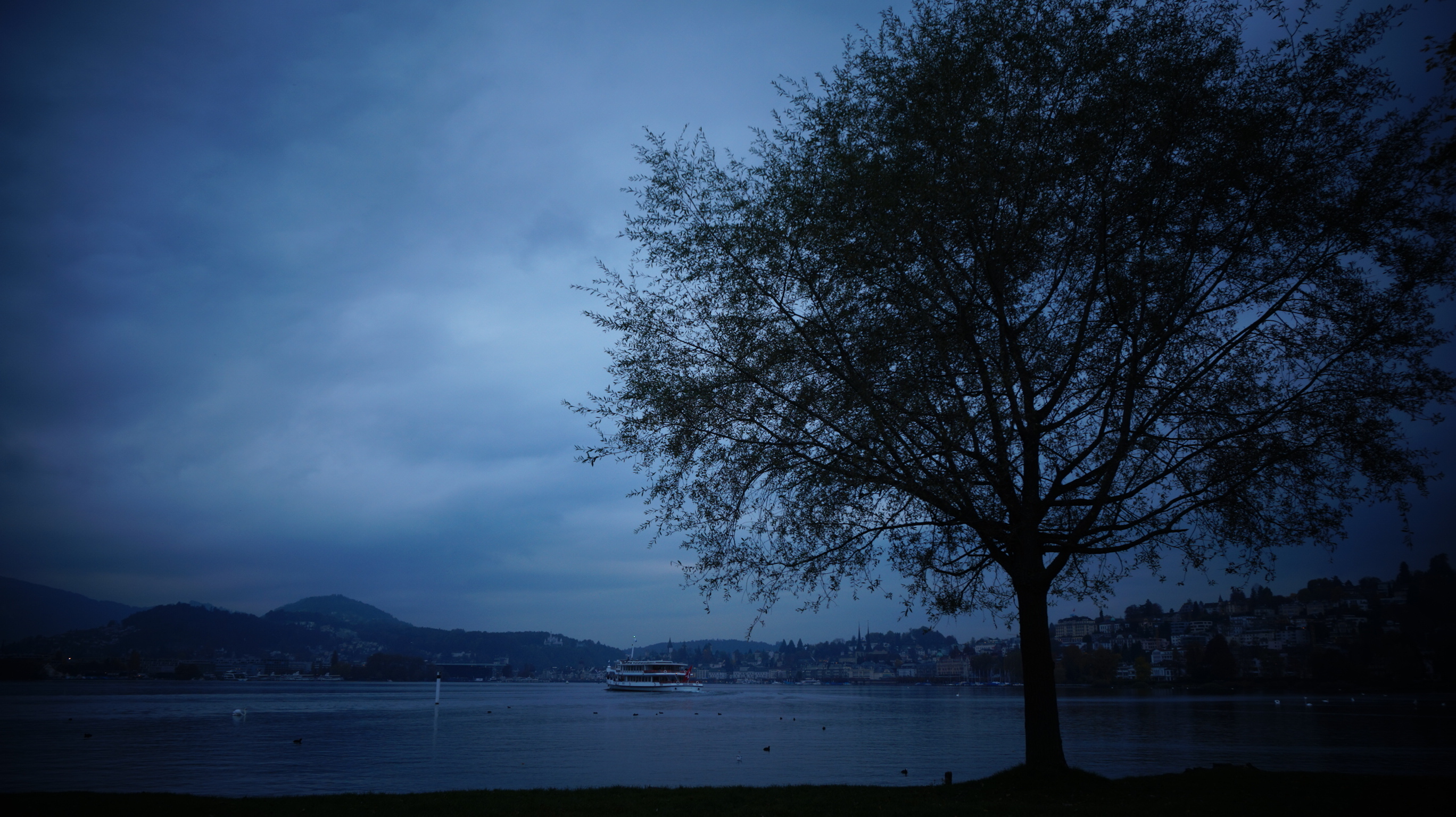 4f75d5267dc7a.jpg