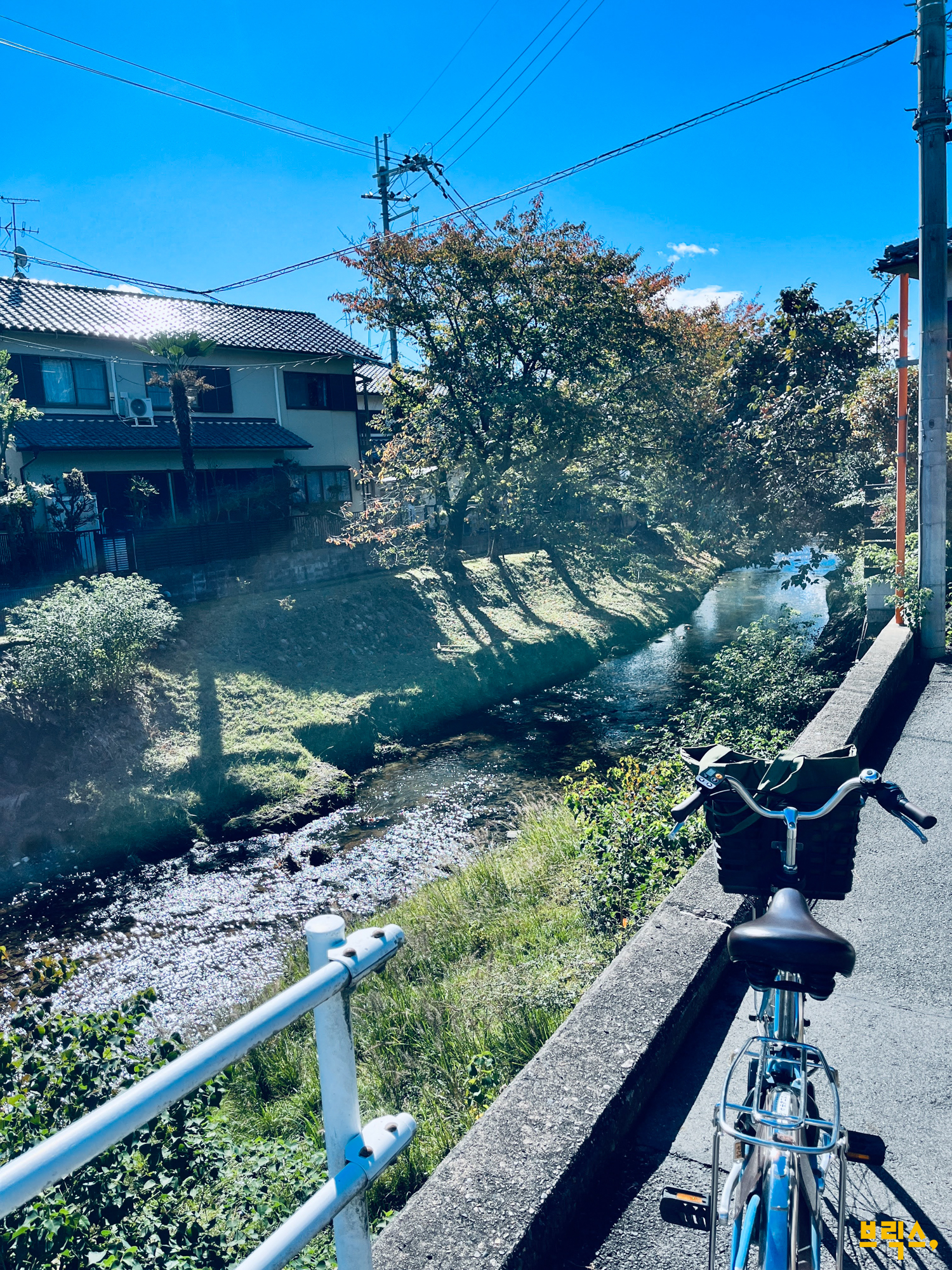 60d729b71356e.png
