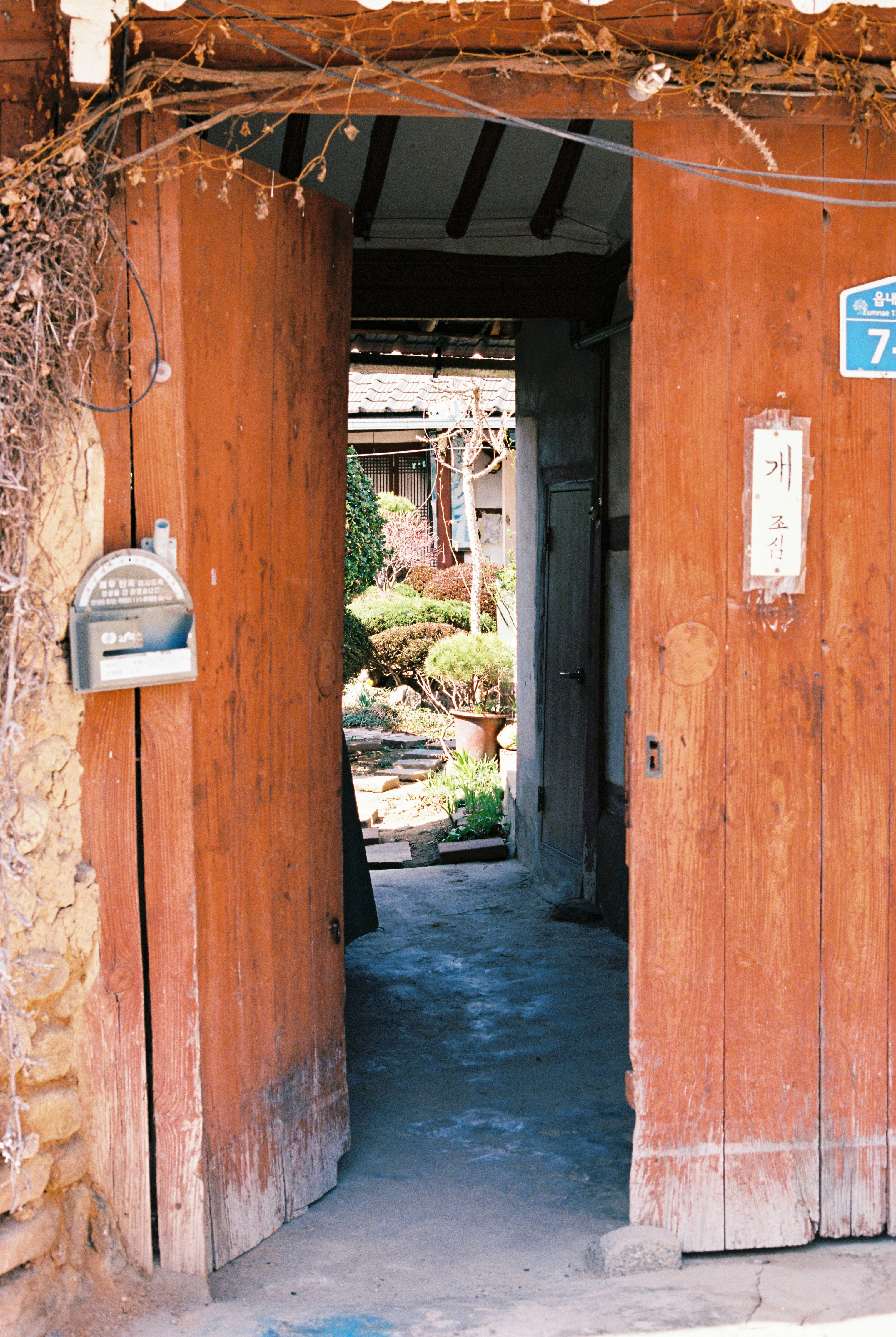 6d221f98157e5.jpg