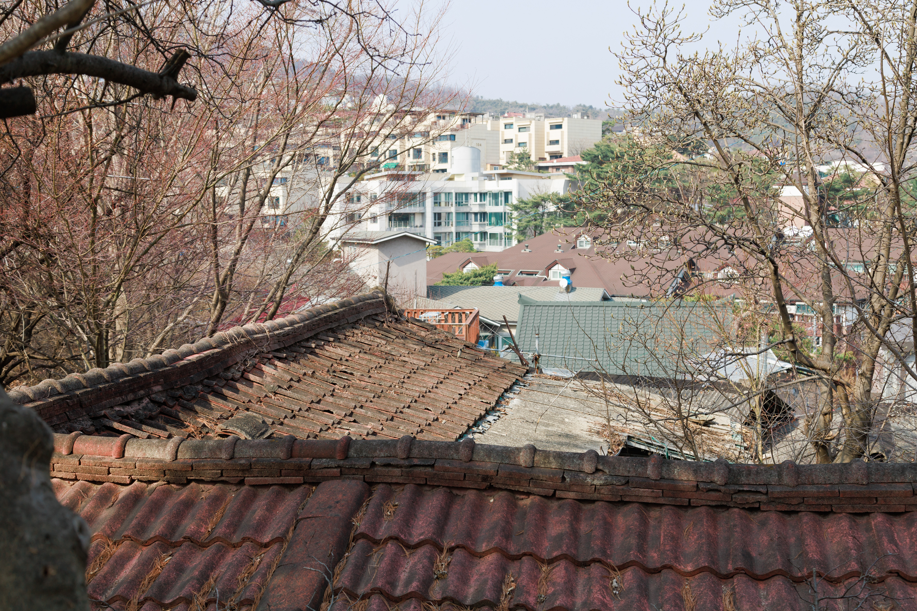 70d9a03c85b46.jpg