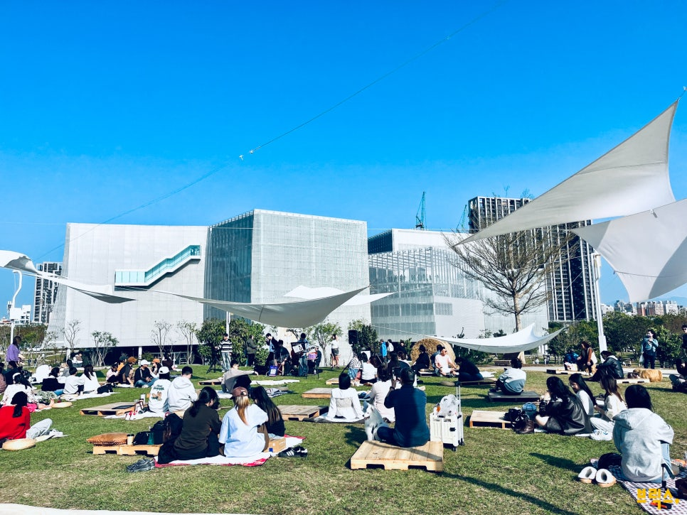 711a369ef2fcf.png