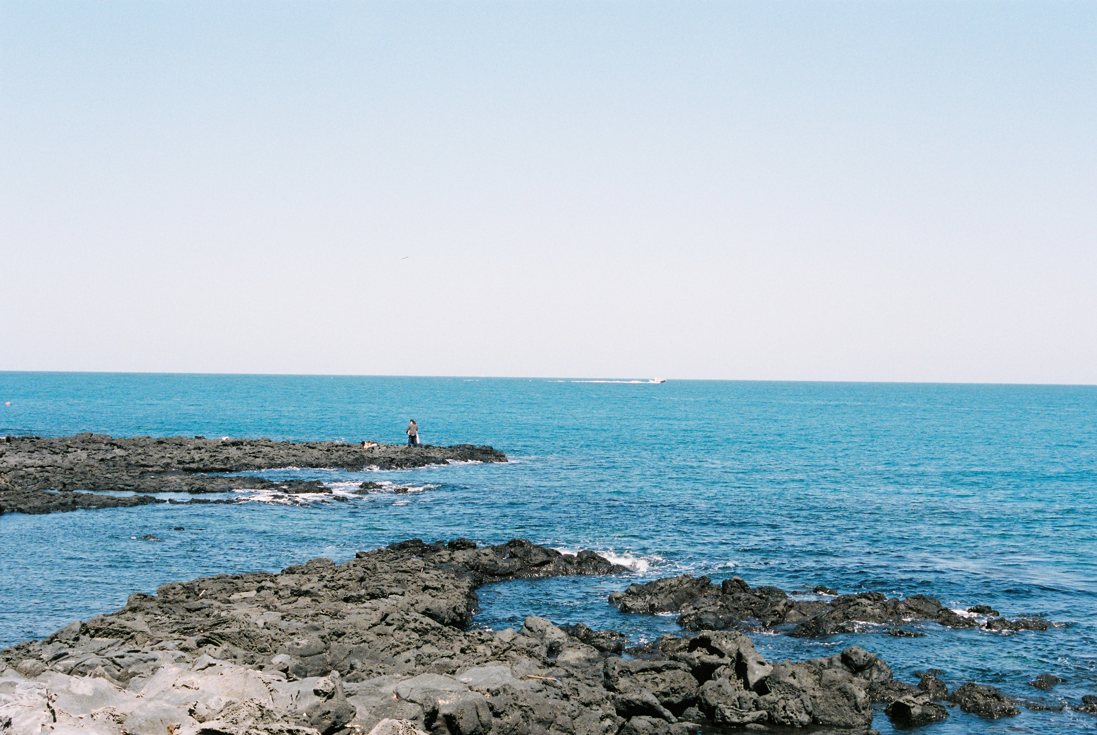 89ccee5ae125e.jpg