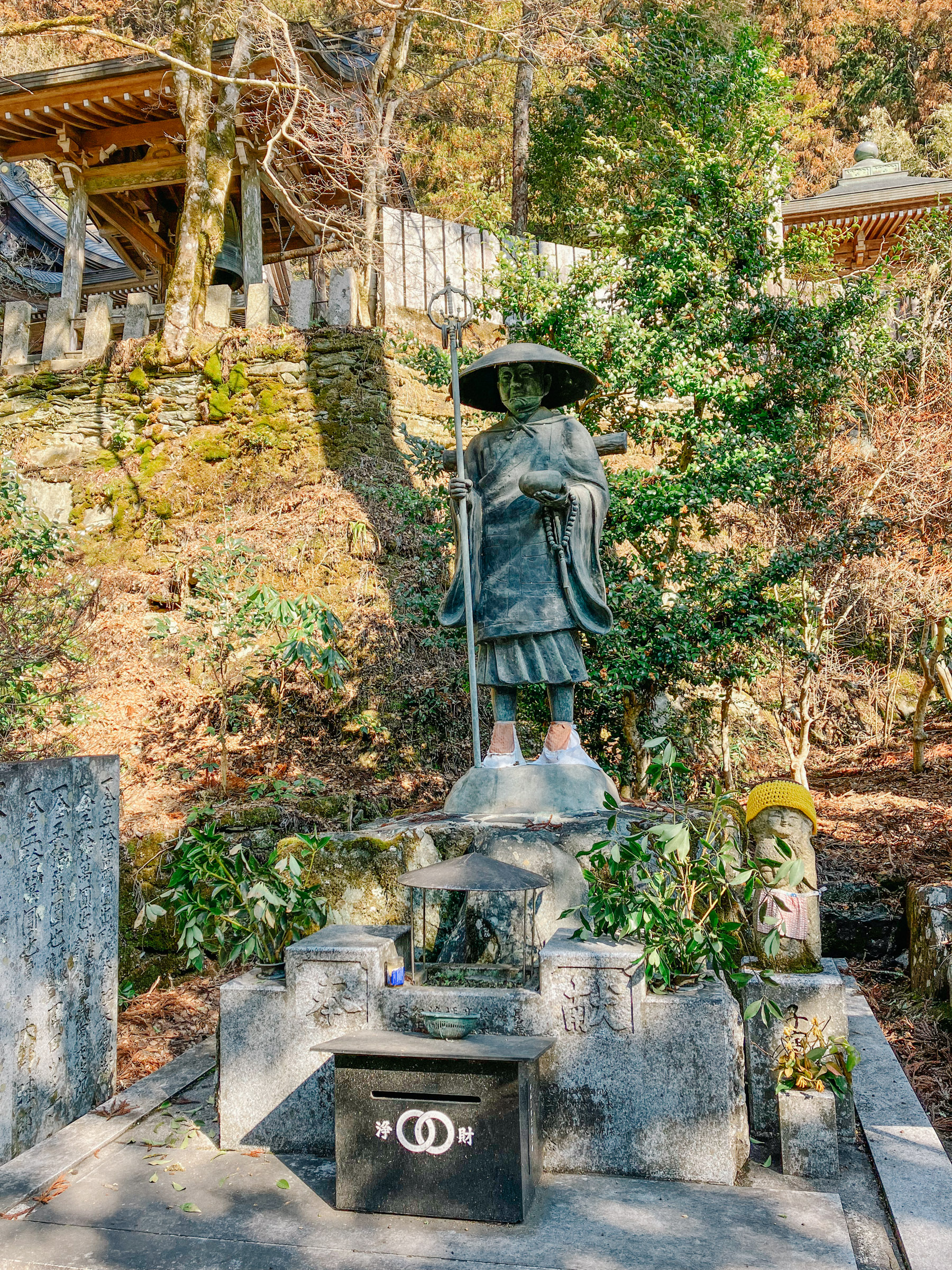 8b8670a74fe09.jpg