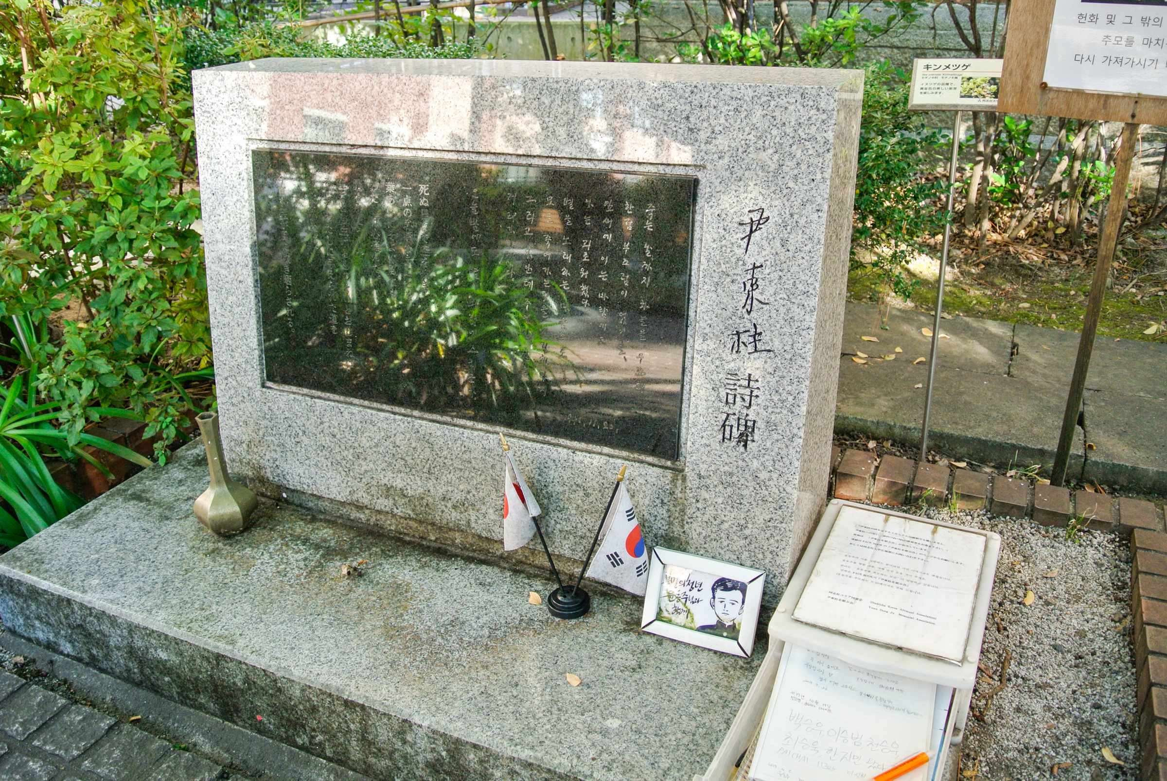 8c15300045e87.png