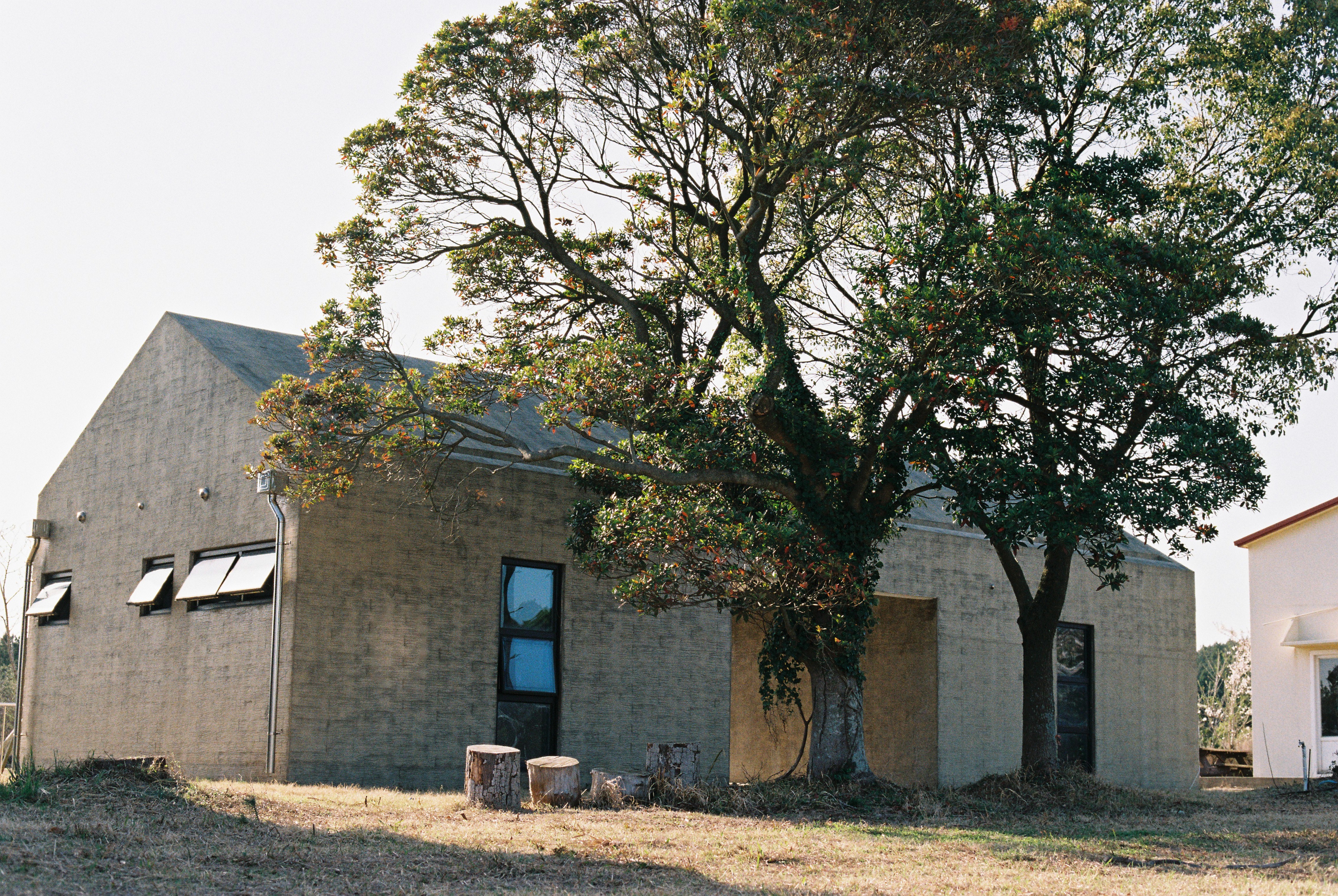 9090b6ac729d5.jpg