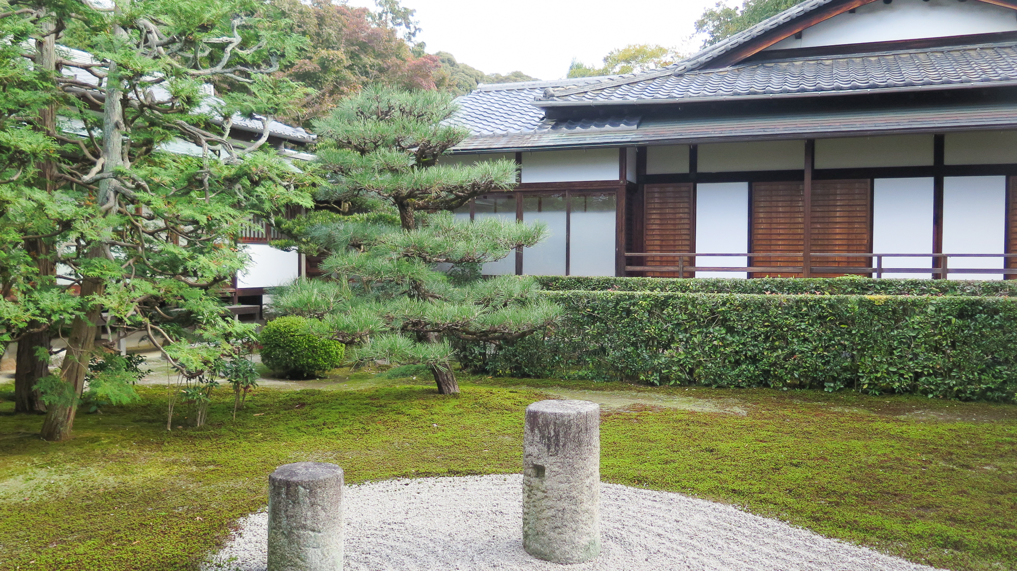92ebbae048497.jpg