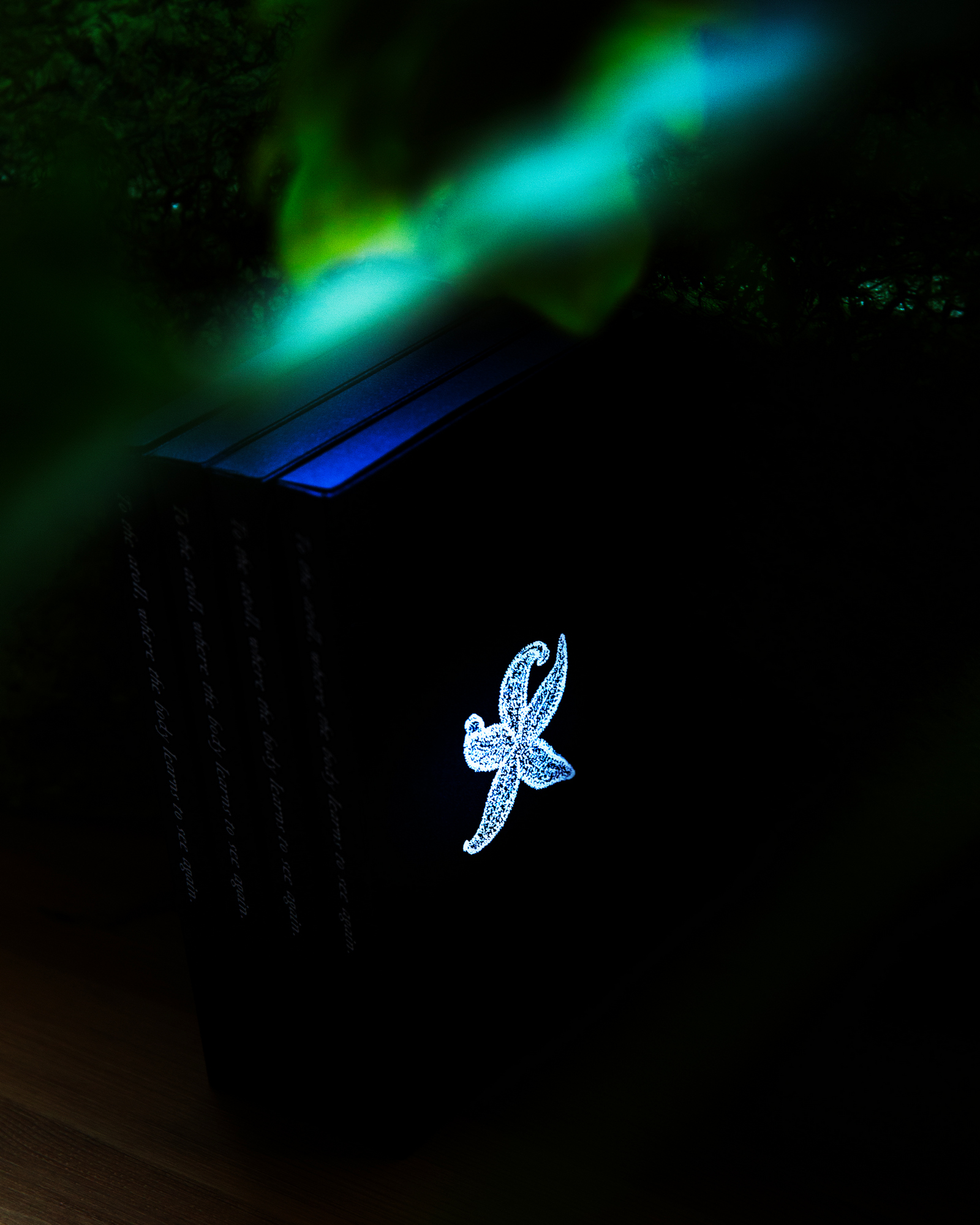 97637d0424cc4.jpg