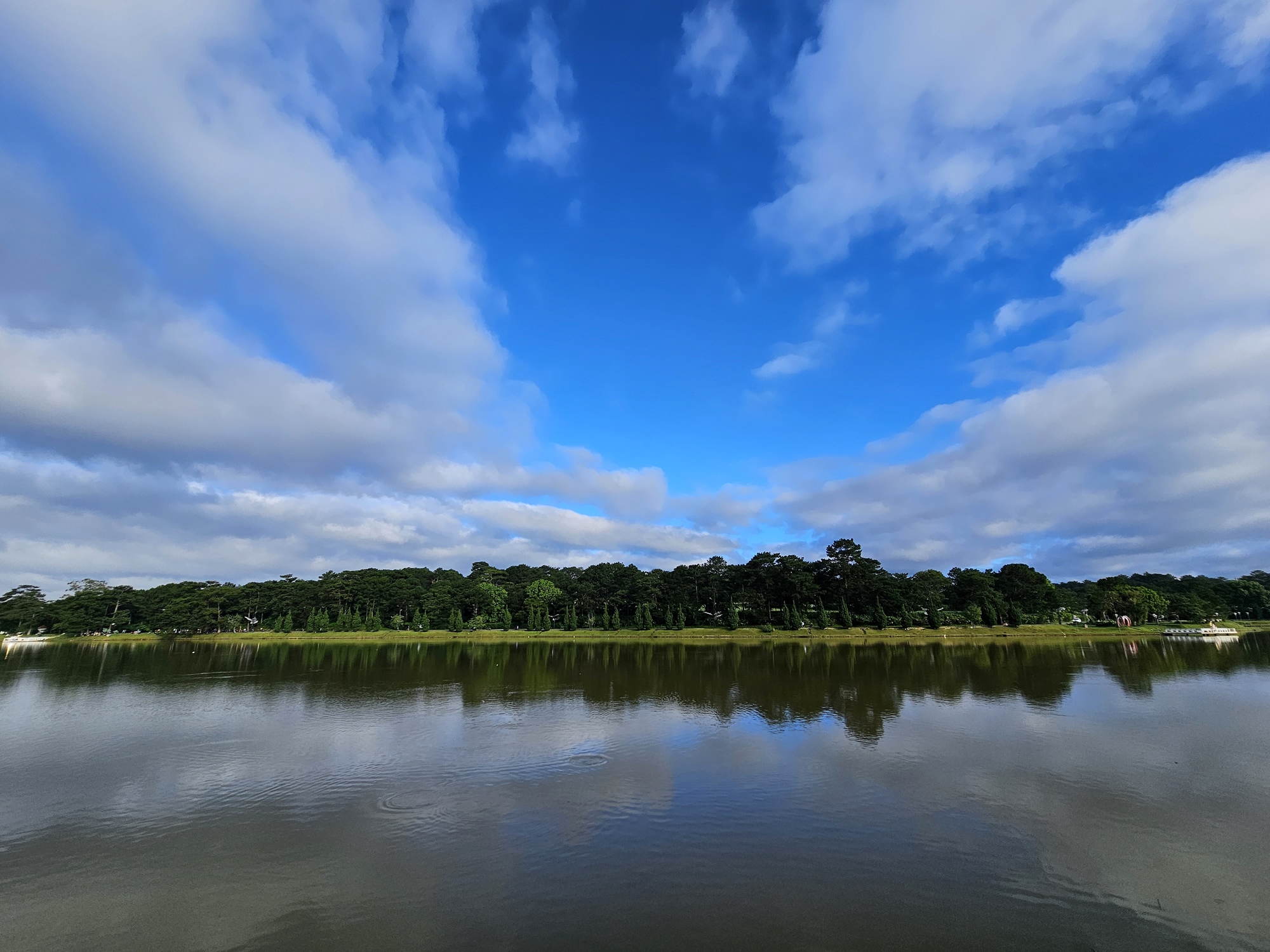 9f076254fc059.jpg