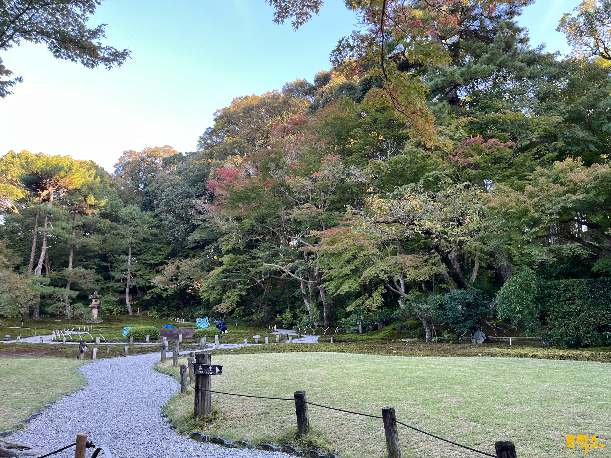a456f9981a026.png