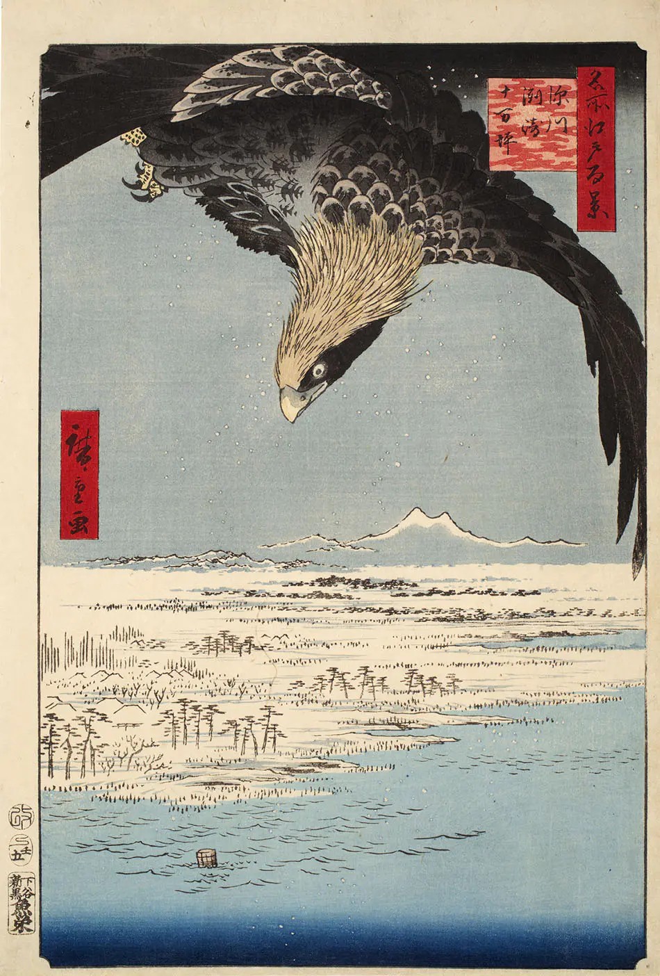 a7f1a18737d44.jpg