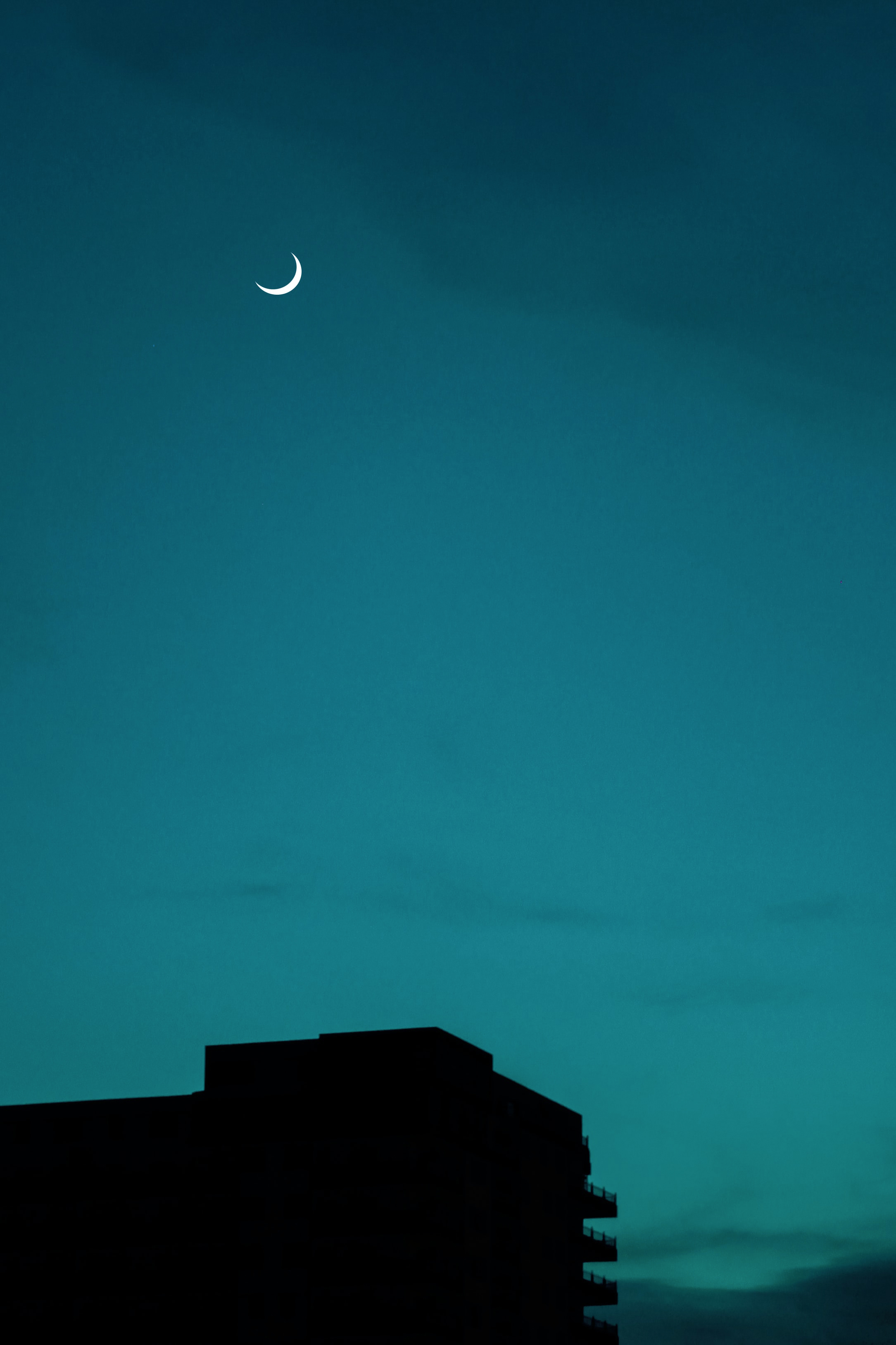 a8ad426d0887e.jpg