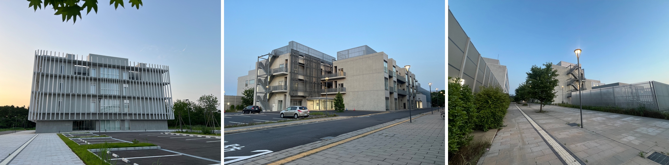 aa0461b7ceca9.jpg
