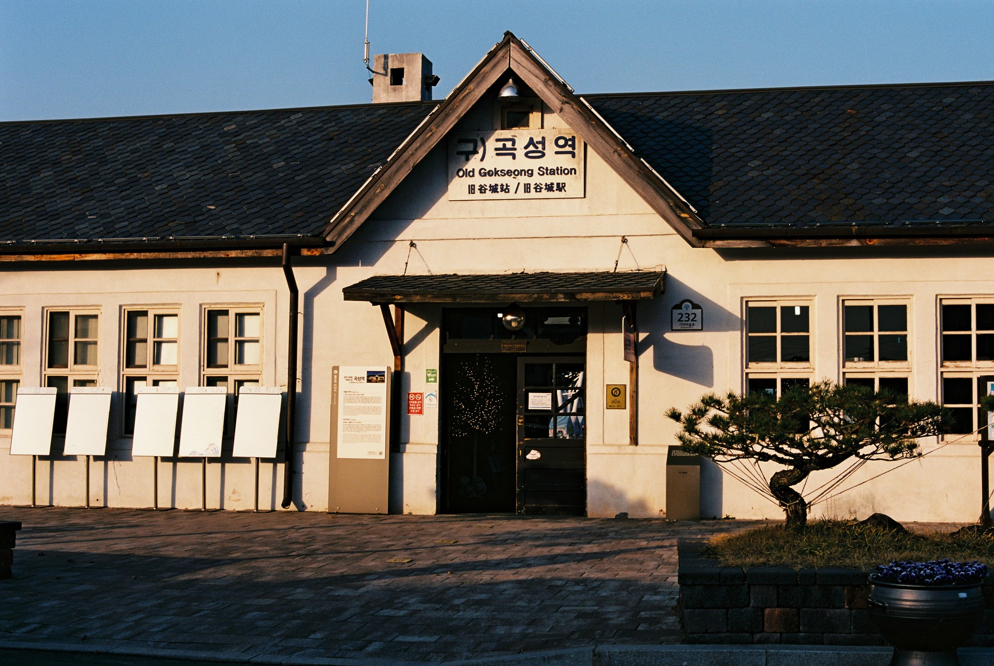 c68685e9ba9bf.jpg