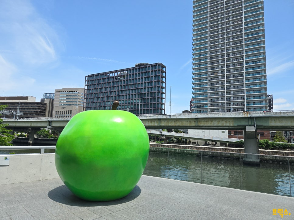 d19205b05fd99.png