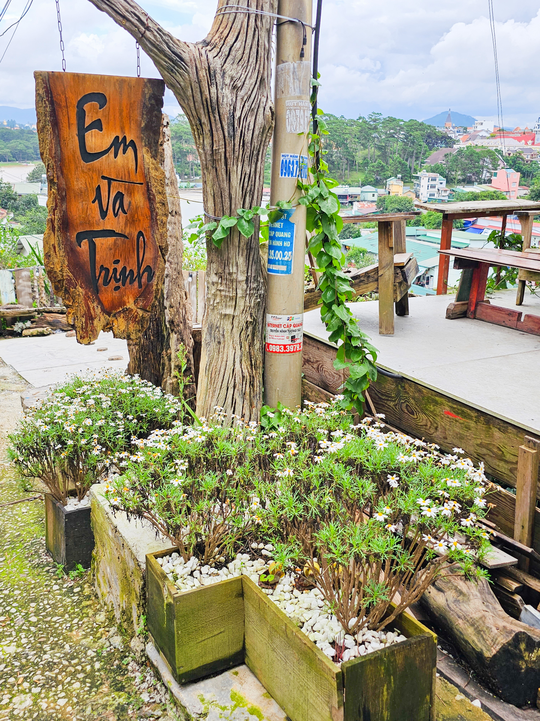efeca1f1f06a3.jpg