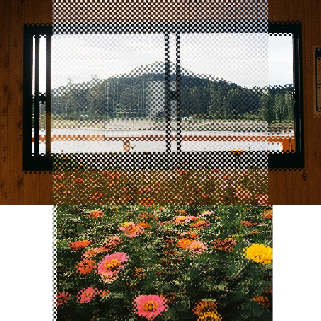 fbca3b74c063d.jpg