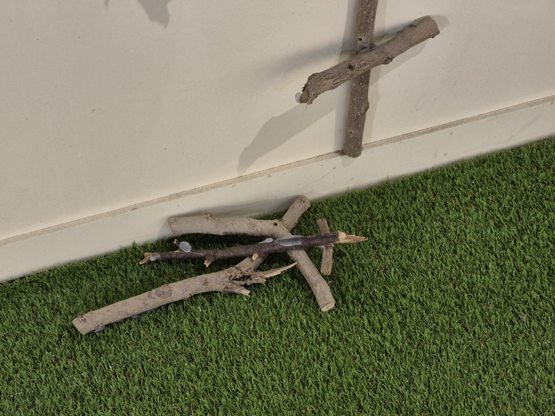 12018da4f820c.jpg