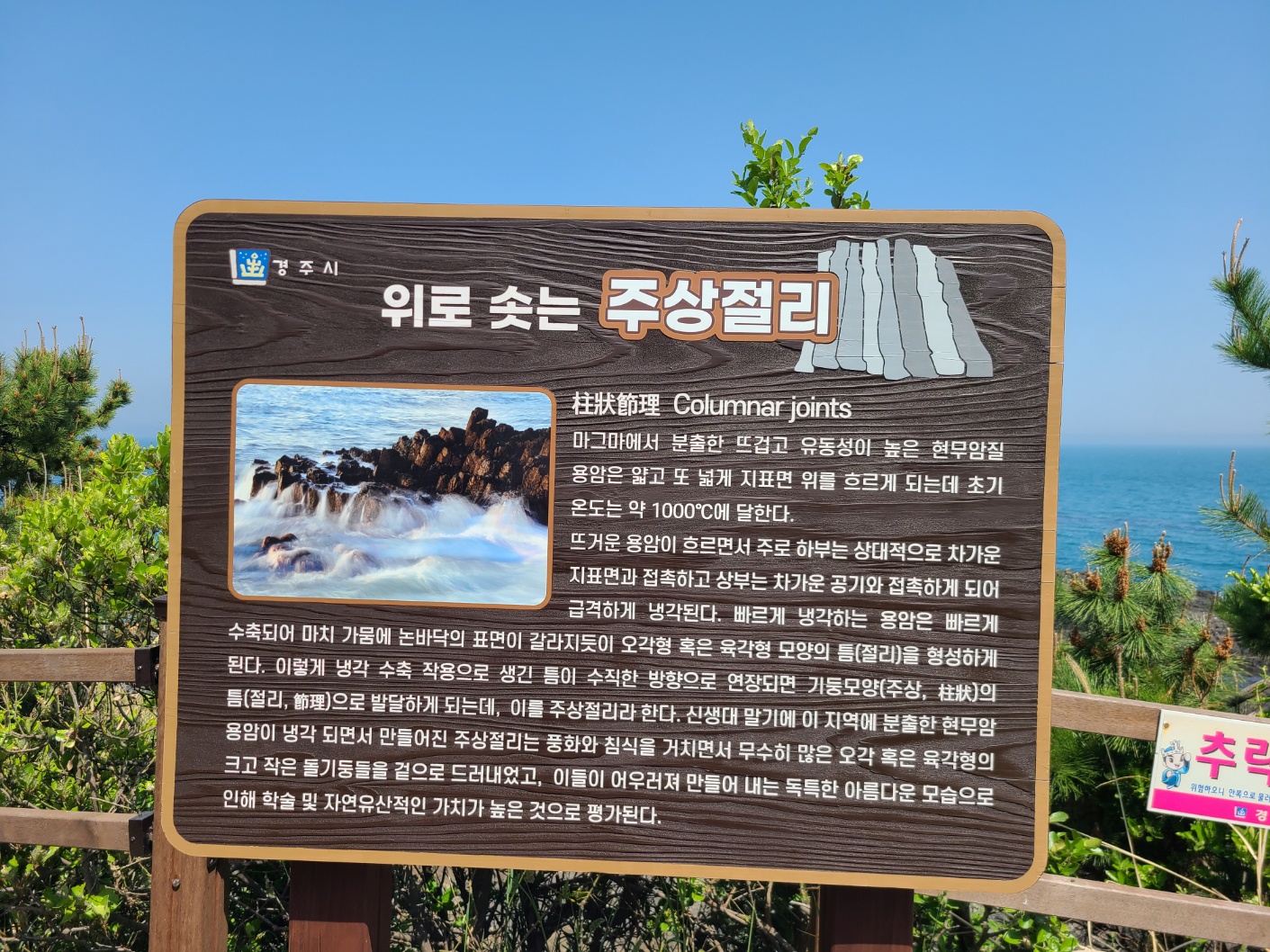546a5ace520a9.jpg